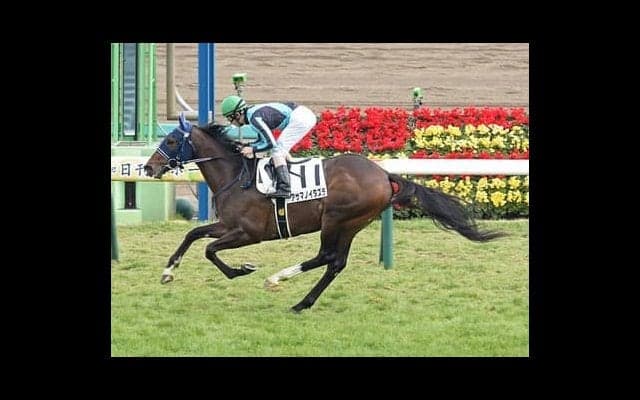 皐月賞は荒れ馬場適性を重視。穴党記者は低評価の実力馬４頭をゲキ推し