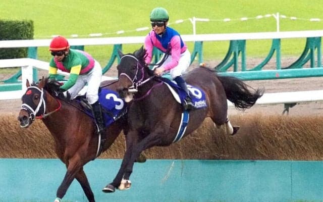 【中山GJ】メイショウダッサイが新王者に！オジュウチョウサンは敗れる