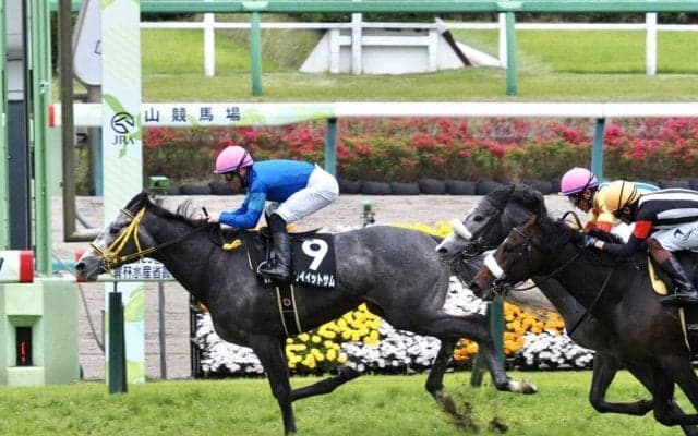 【山藤賞】4番人気 プレイイットサムが2連勝