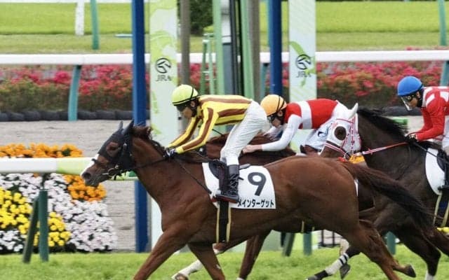 【中山6R】ダイワメジャー産駒 メインターゲットが2勝目