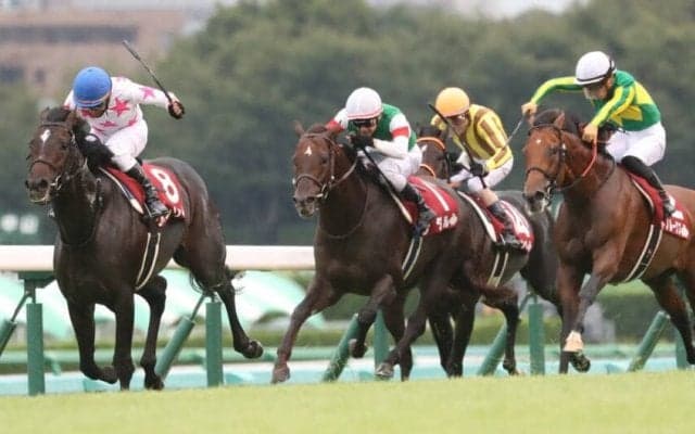 リオンリオンが競走馬登録抹消