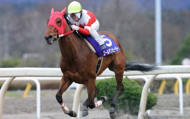 【水沢・あやめ賞】ゴールデンヒーラーが完勝！