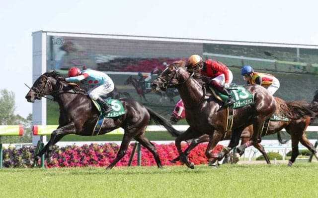 【福島牝馬S登録馬】ディアンドルなど19頭が登録