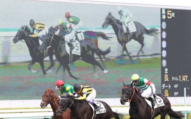 【フローラS登録馬】オヌールなど17頭が登録