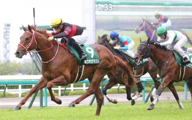 【アーリントンC】ホウオウアマゾンが重賞初制覇