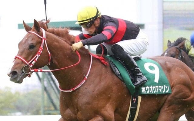 【アーリントンC】川田「良い馬に成長」ホウオウアマゾンが重賞初制覇