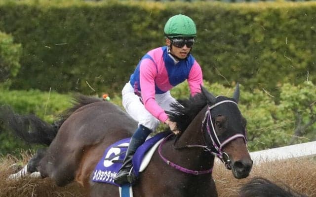 【中山GJ】森一馬「楽な競馬ではなかった」メイショウダッサイがV