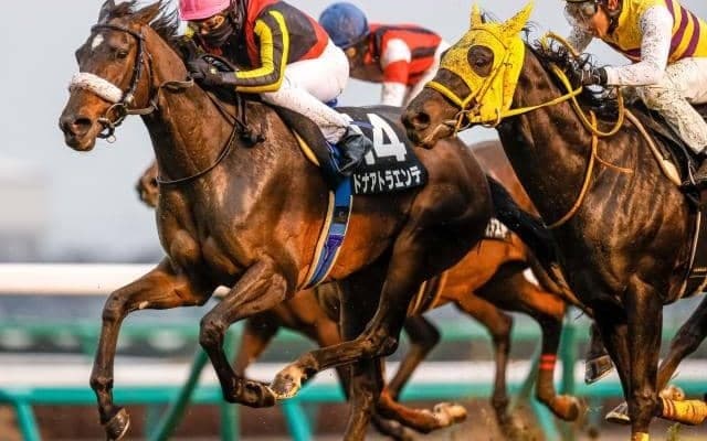 【福島牝馬S展望】今年は新潟で行われる牝馬限定戦、あの馬に期待