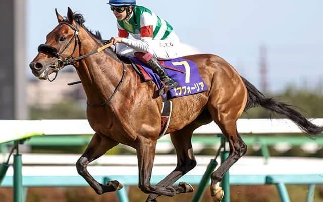 【皐月賞回顧】「エピファネイア×ハーツクライ」で距離延長も不安なし　エフフォーリア“二冠”の可能性/栗山求