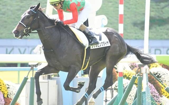 【福島牝馬Ｓ出走馬決定順】フルゲート16頭に19頭の登録