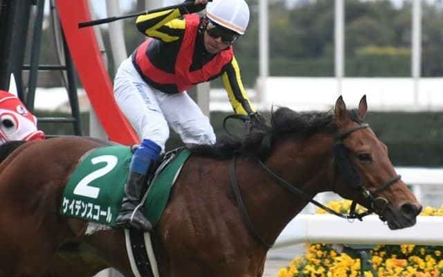 【マイラーズC見どころ】ケイデンスコールが重賞3勝目を狙う