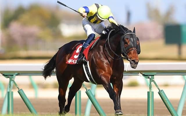 【マイラーズＣ出走馬決定順】フルゲート18頭に17頭の登録