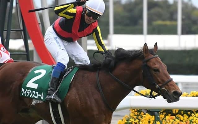 【マイラーズC予想オッズ】ケイデンスコールが予想1番人気に