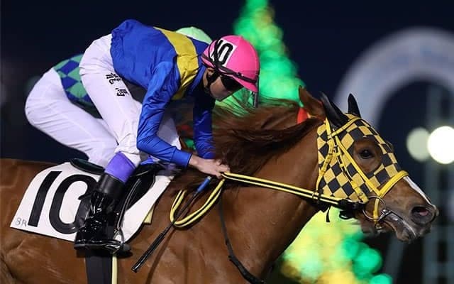 続々と勝ち名乗り！中央・地方問わず目立つ新人ジョッキーの活躍/斎藤修