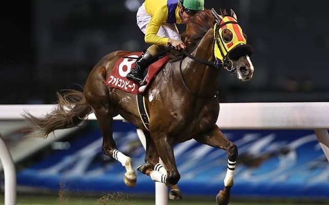 【川崎・スパーキングマイラーズチャレンジ結果】4番人気のファルコンビークが逃げ切り勝ち