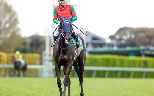 【フローラS予想オッズ】ユーバーレーベンが予想1番人気に