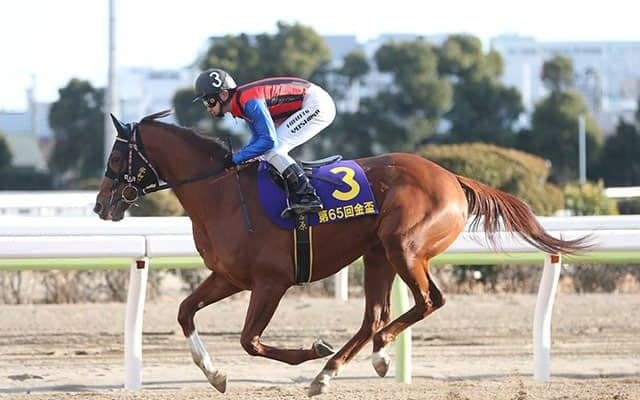 【地方競馬】令和2年の川崎競馬 最優秀競走馬賞はマンガン、最優秀騎手賞は山崎誠士騎手