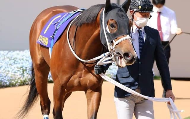 【次走】皐月賞4着のアドマイヤハダルは日本ダービーへ