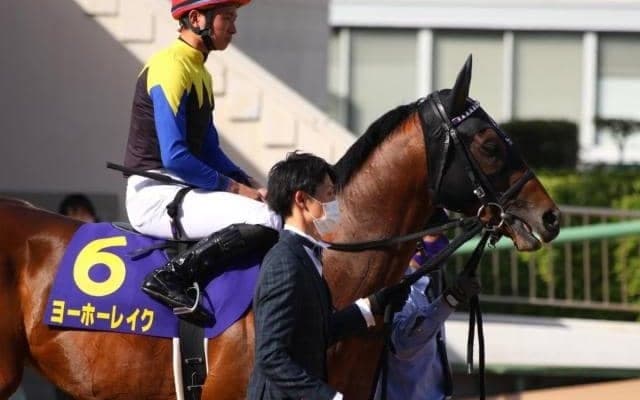 【次走】皐月賞5着のヨーホーレイクは日本ダービーへ