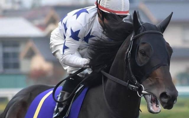 【門別競馬情報】今季もロケットスタート！先週の開幕2日間の発売額は計12億円超、計画比168.8％、前年比でも143.6％ 今夜メイン11Rは「ナダル・プレミアム」/地方競馬情報