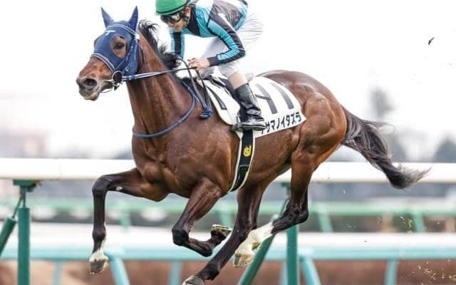 【次走】アサマノイタズラはラジオNIKKEI賞を視野に