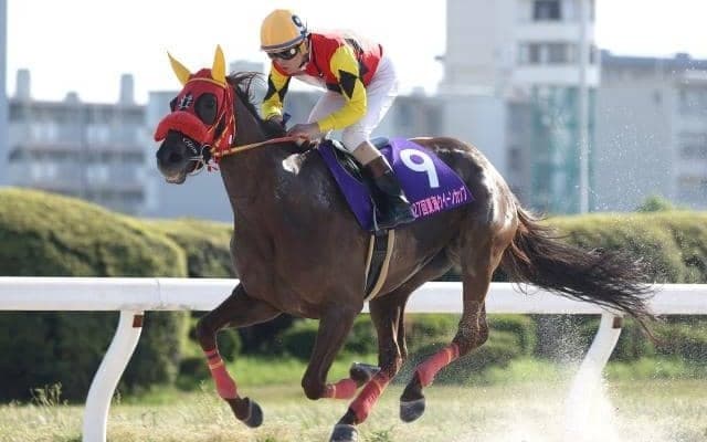 【名古屋・東海クイーンC結果】ニジイロが人気に応えて重賞2勝目