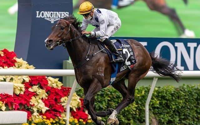 快進撃はどこまで続く!? 13連勝中の絶対王者に注目/合田直弘