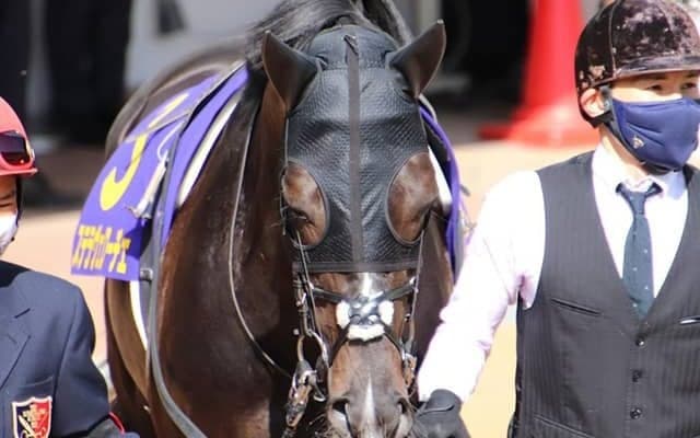 【次走】皐月賞3着ステラヴェローチェは日本ダービーへ