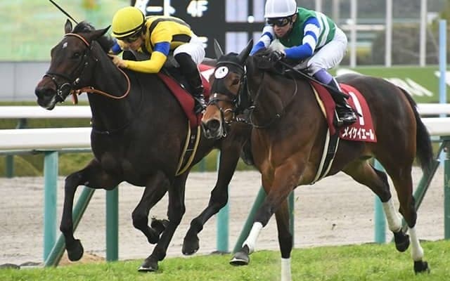 【次走】チューリップ賞同着VエリザベスタワーはスイートピーSへ、岩田康誠騎手と新コンビ