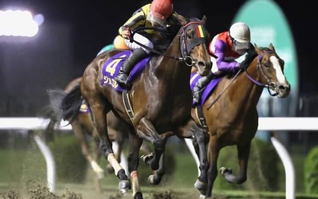 【川崎・クラウンC】ジョエルが差し切りV　張田親子コンビで重賞初制覇