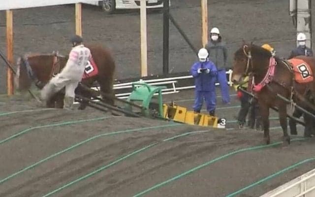 ばんえい競馬で騎手が「馬の顔蹴る」動画が問題