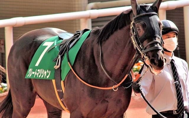 【次走】毎日杯2着グレートマジシャンは日本ダービーへ