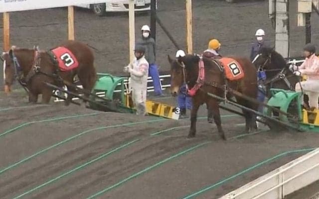 ばんえい競馬 馬の顔を蹴って抗議殺到 当該騎手は当面騎乗自粛を申し出