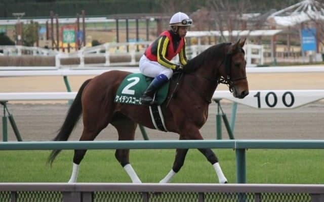 【マイラーズC展望】安田記念の前哨戦、中心になるのはあの馬