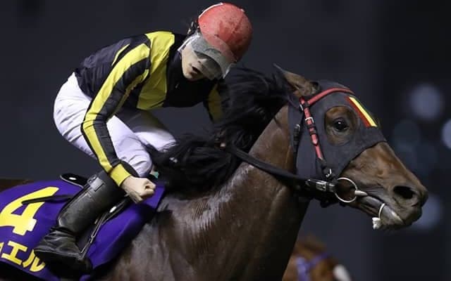 【川崎・クラウンC】親子タッグで重賞制覇のジョエル　張田昴騎手「一緒に頑張っていきたい」