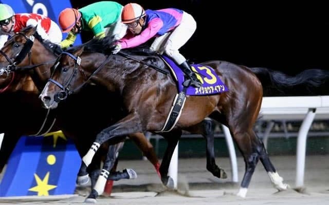 【門別競馬情報】ここから始まる古馬スプリント戦線！実績馬が勢揃い、メイショウアイアンやジャスパーシャインらに注目「アドマイヤマーズ・プレミアム」/地方競馬情報