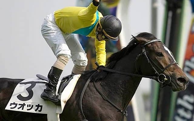 牝馬のダービー挑戦史/島田明宏