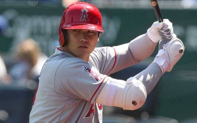 【MLB】大谷翔平、「熱狂させる選手」ファン投票で独走　2万8000人超の過半数獲得