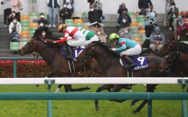 【チェアマンズスプリントプライズ】出馬表確定