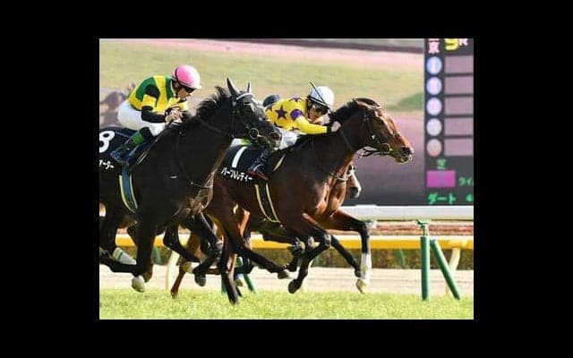 高配当続出のフローラＳ。腕ぶす穴党記者が期待を膨らませる伏兵３頭