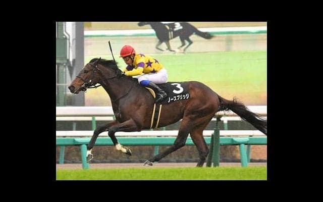 「打倒エフフォーリア」の有力候補か。青葉賞に挑むノースブリッジ