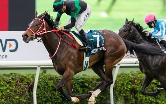 【香港・クイーンエリザベス2世C結果】ラヴズオンリーユーが海外GI初制覇！ 日本馬1-4着独占！