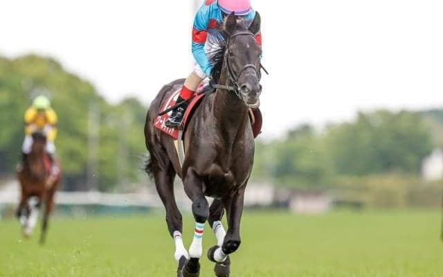 【JRA・WIN5】今週のWIN5は的中2324票、配当23万5660円