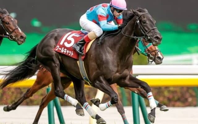 【フローラS結果】クールキャットが快勝！ 重賞初制覇＆樫切符獲得