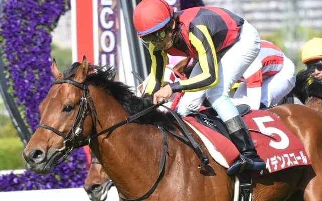 【マイラーズC結果】ケイデンスコールが差し切り重賞3勝目！