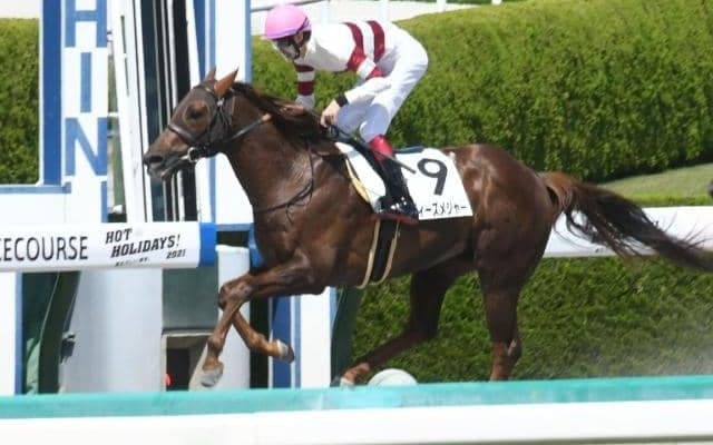 【阪神7R・4歳上1勝】単勝187.6倍ダディーズメジャーがV、9頭立て以下でJRA史上2位の高配当