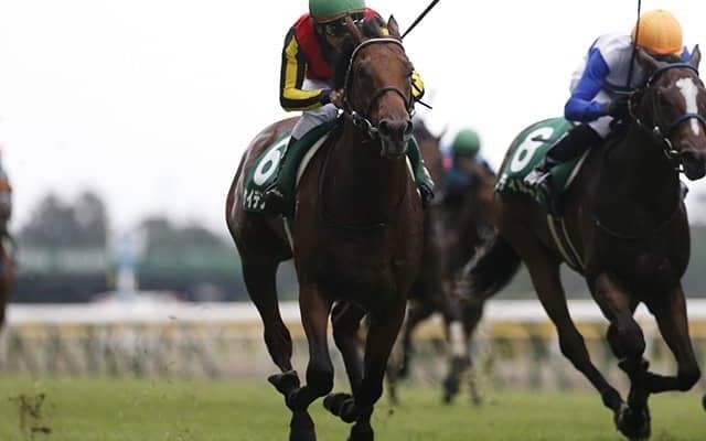 【マイラーズC】ケイデンスコールの鞍上は古川吉洋騎手に、岩田康誠騎手の騎乗停止で