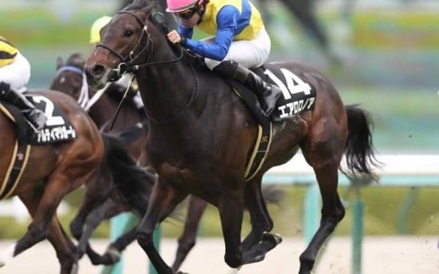 【マイラーズC予想】例年の京都⇒阪神開催変更がカギ？人気の盲点になる穴馬をタイム指数で炙り出す！