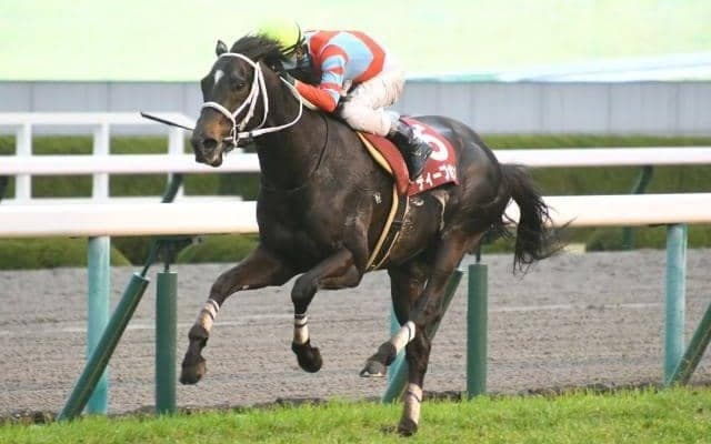 長距離GI天皇賞・春とダービーTR青葉賞/今週の競馬界の見どころ