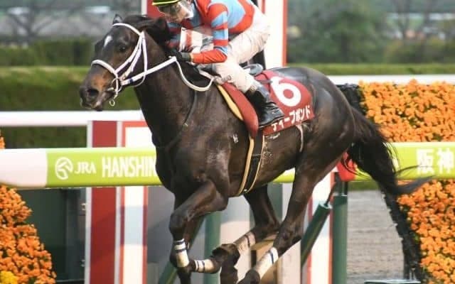 【天皇賞・春見どころ】キズナ産駒ディープボンドが春盾奪取に挑む